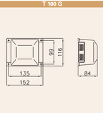 T 100 G