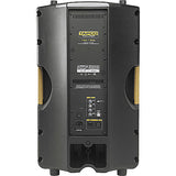 MACKIE Tapco TH15A THUMP Speaker Cabinet
